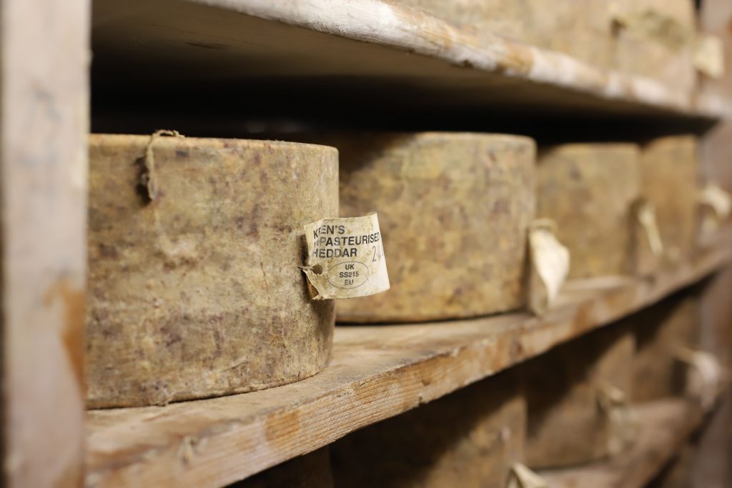 Unpasteurised Cheddar Cheese Truckles Keens Cheddar